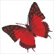 Flutterby Red